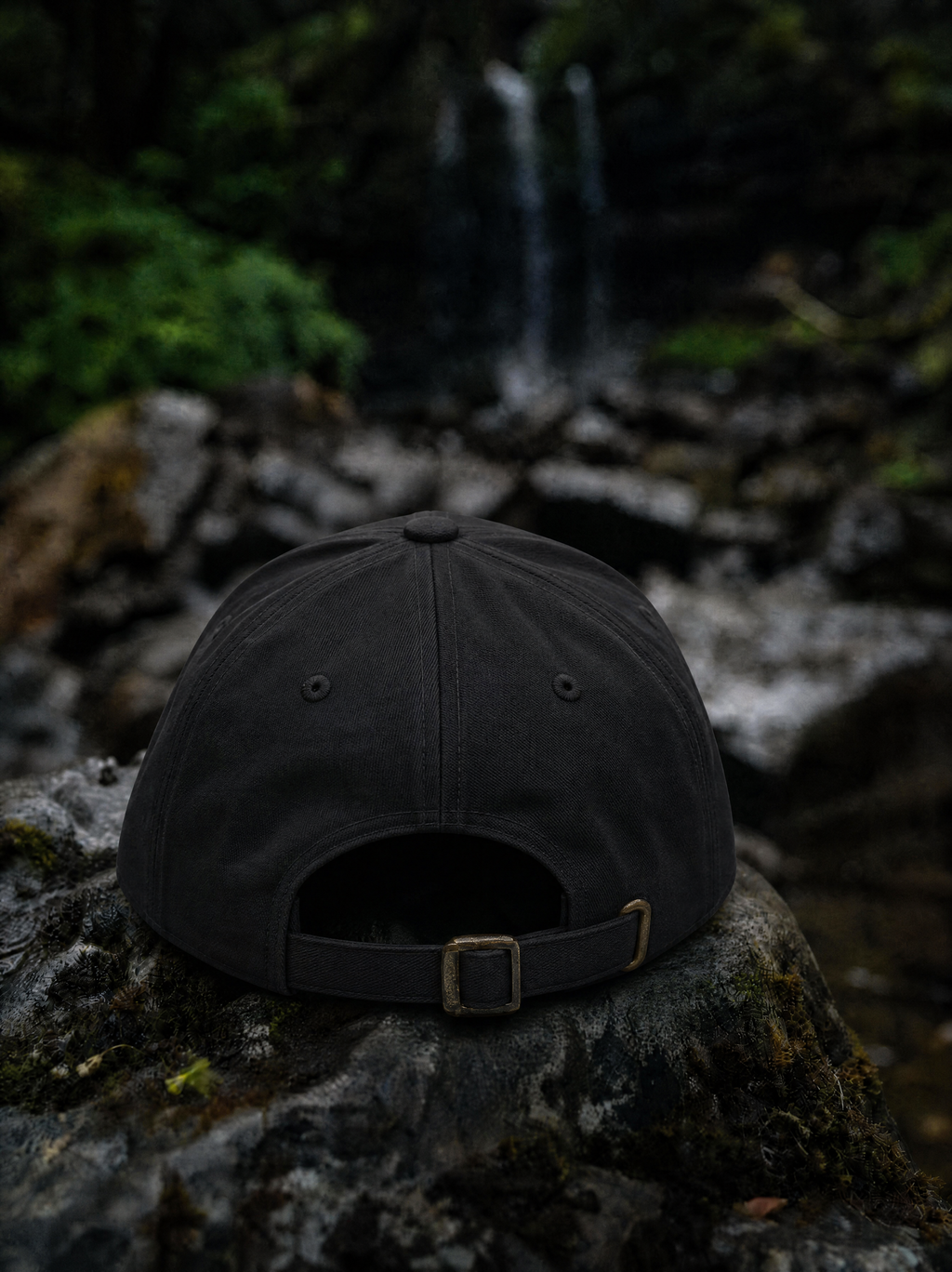 Black cap on a tree stump with a forest background