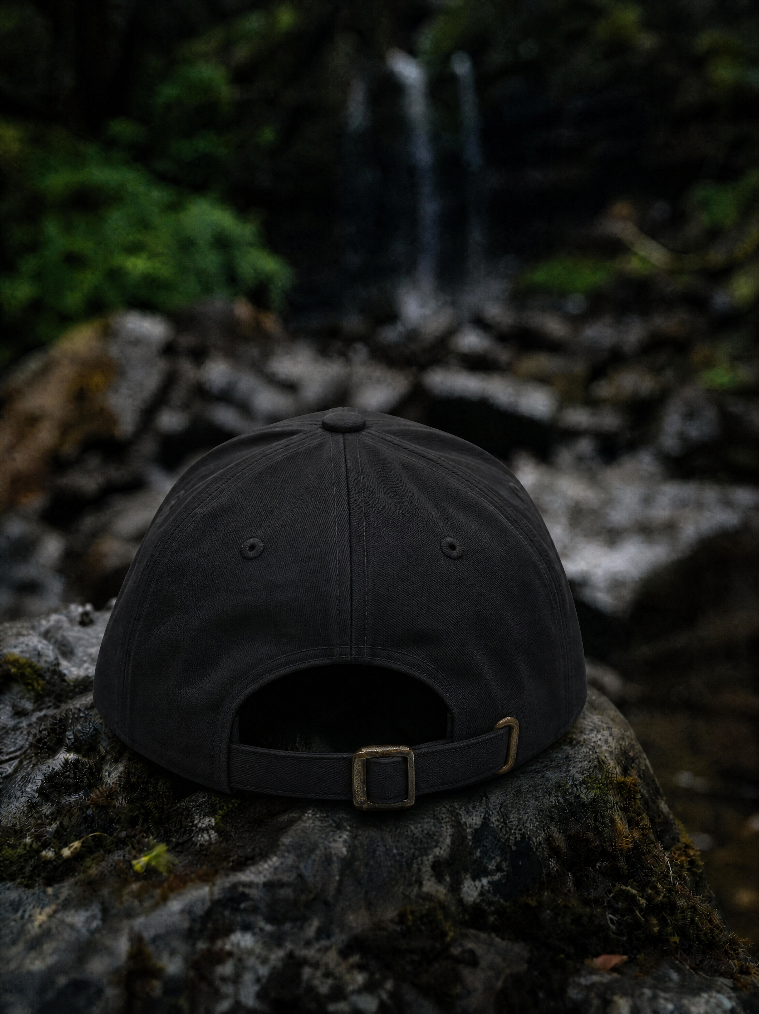 Black cap on a tree stump with a forest background